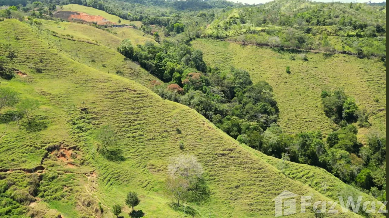 Land for Sale in Perez Zeledon, San Jose for $380,000, photo 2