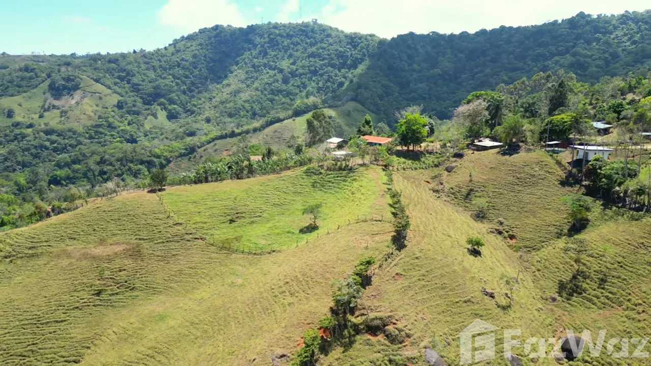 Land for Sale in Perez Zeledon, San Jose for $380,000, photo 3