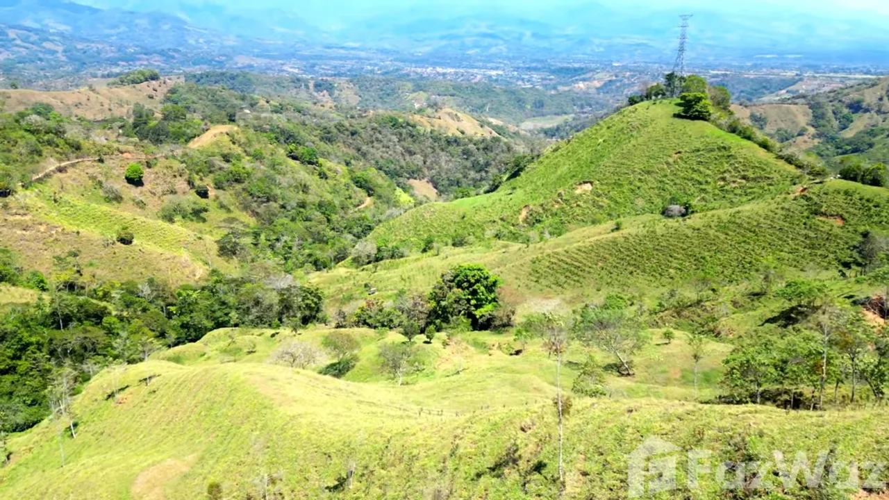 Land for Sale in Perez Zeledon, San Jose for $380,000, photo 4
