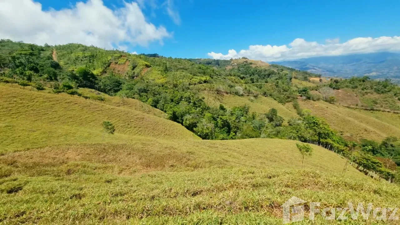 Land for Sale in Perez Zeledon, San Jose for $380,000, photo 5