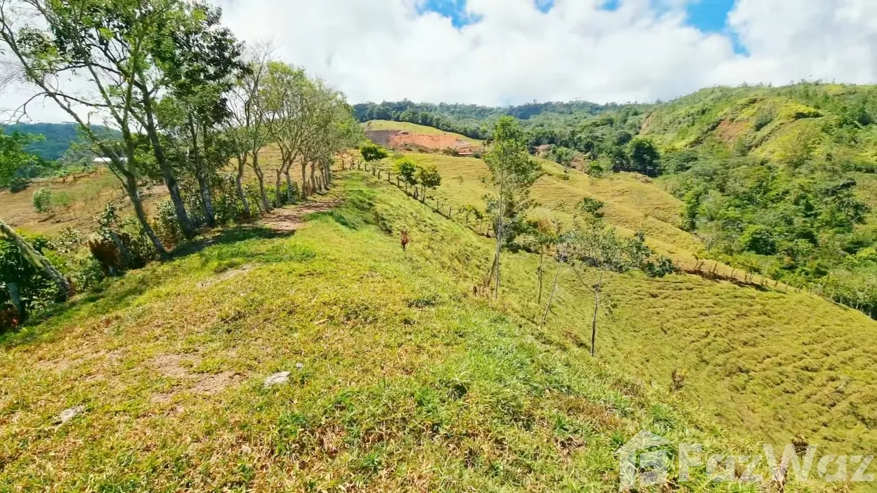 Land for Sale in Perez Zeledon, San Jose for $380,000, photo 6