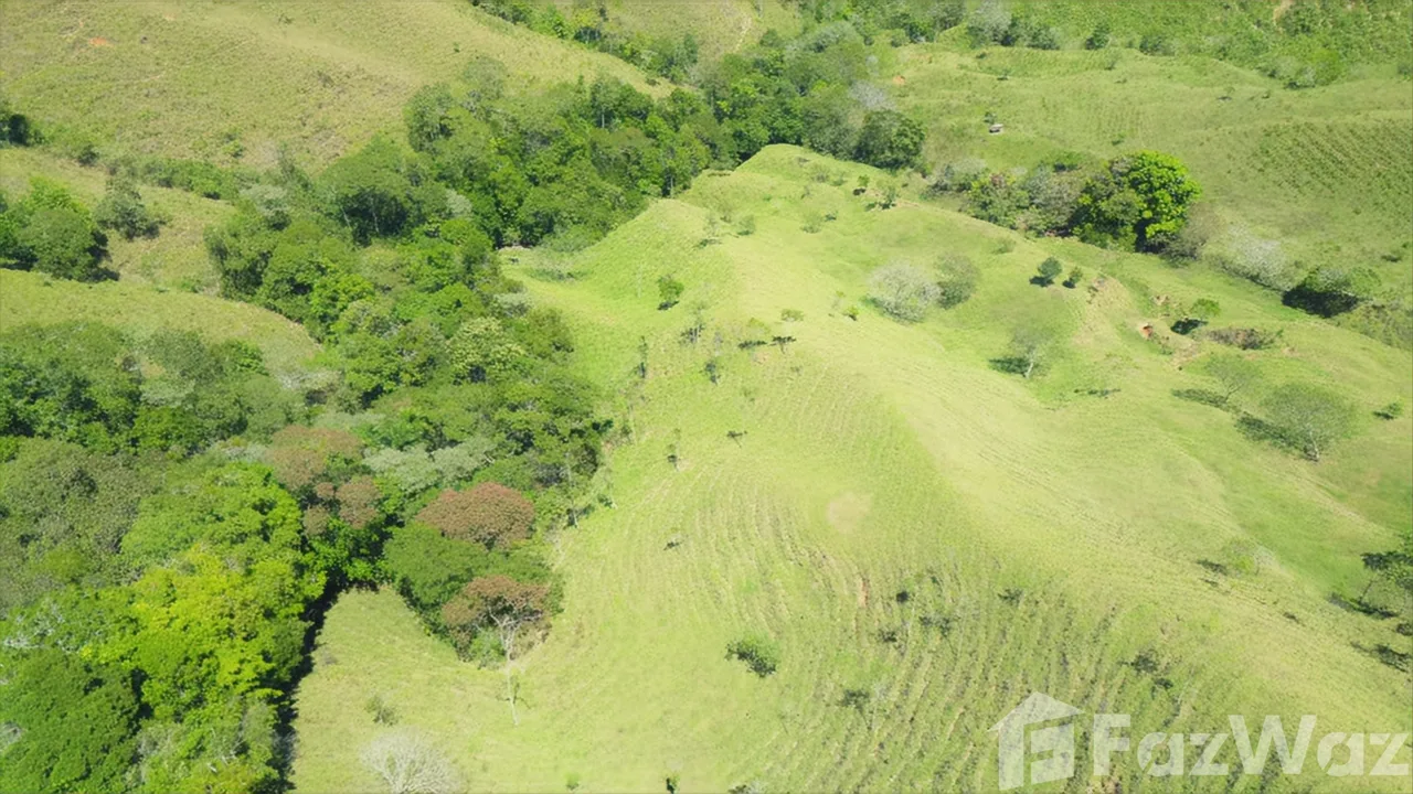 Land for Sale in Perez Zeledon, San Jose for $380,000, photo 7