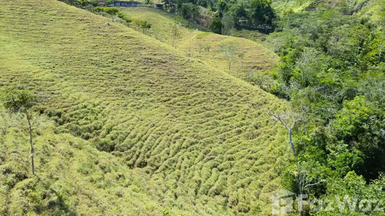 Land for Sale in Perez Zeledon, San Jose for $380,000, photo 9