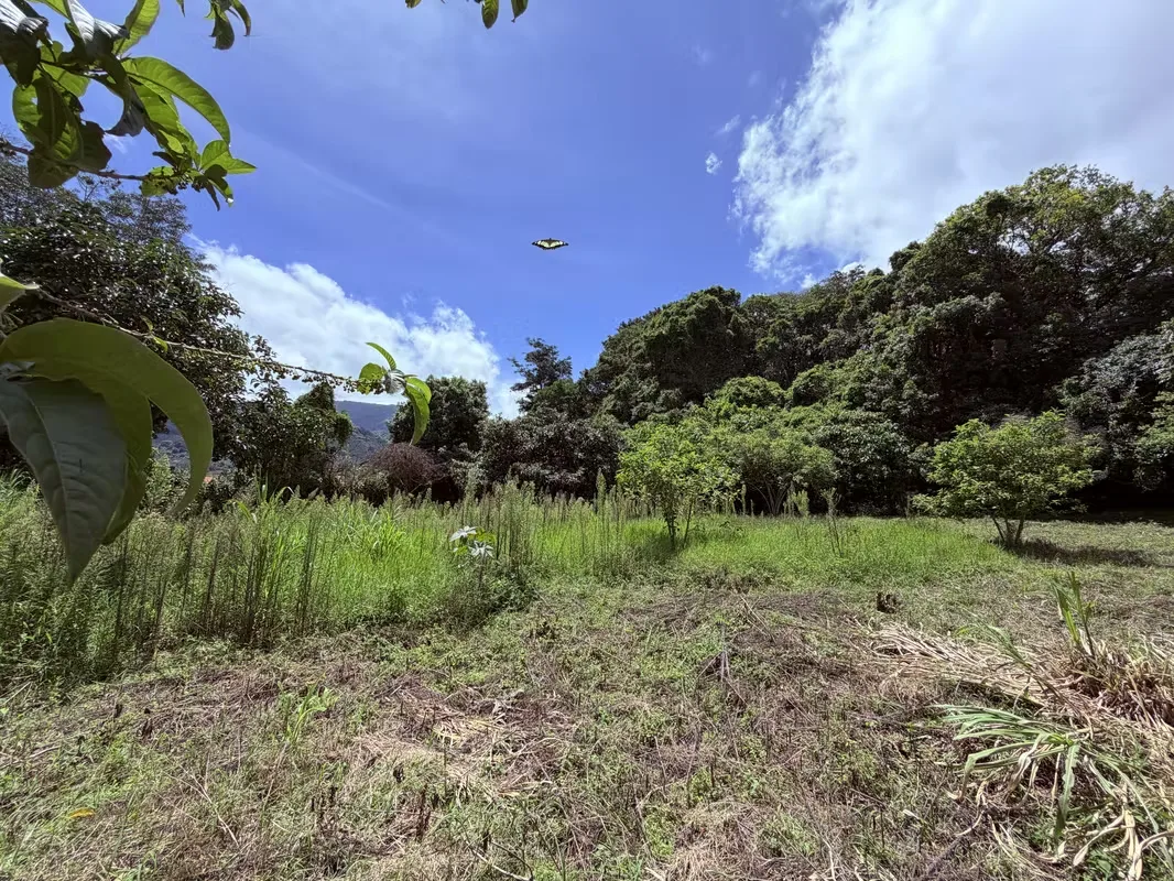 For Sale | Land with Potential for a Retirement Community or Cohousing | Santa María de Dota
