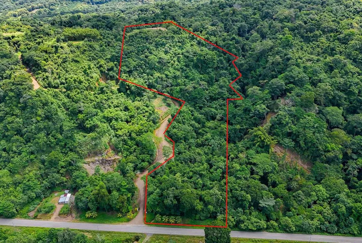 JUNGLE BUILDING PROPERTY WITH OCEAN VIEWS IN CHONTALES OJOCHAL – 9 ACRES, photo 2