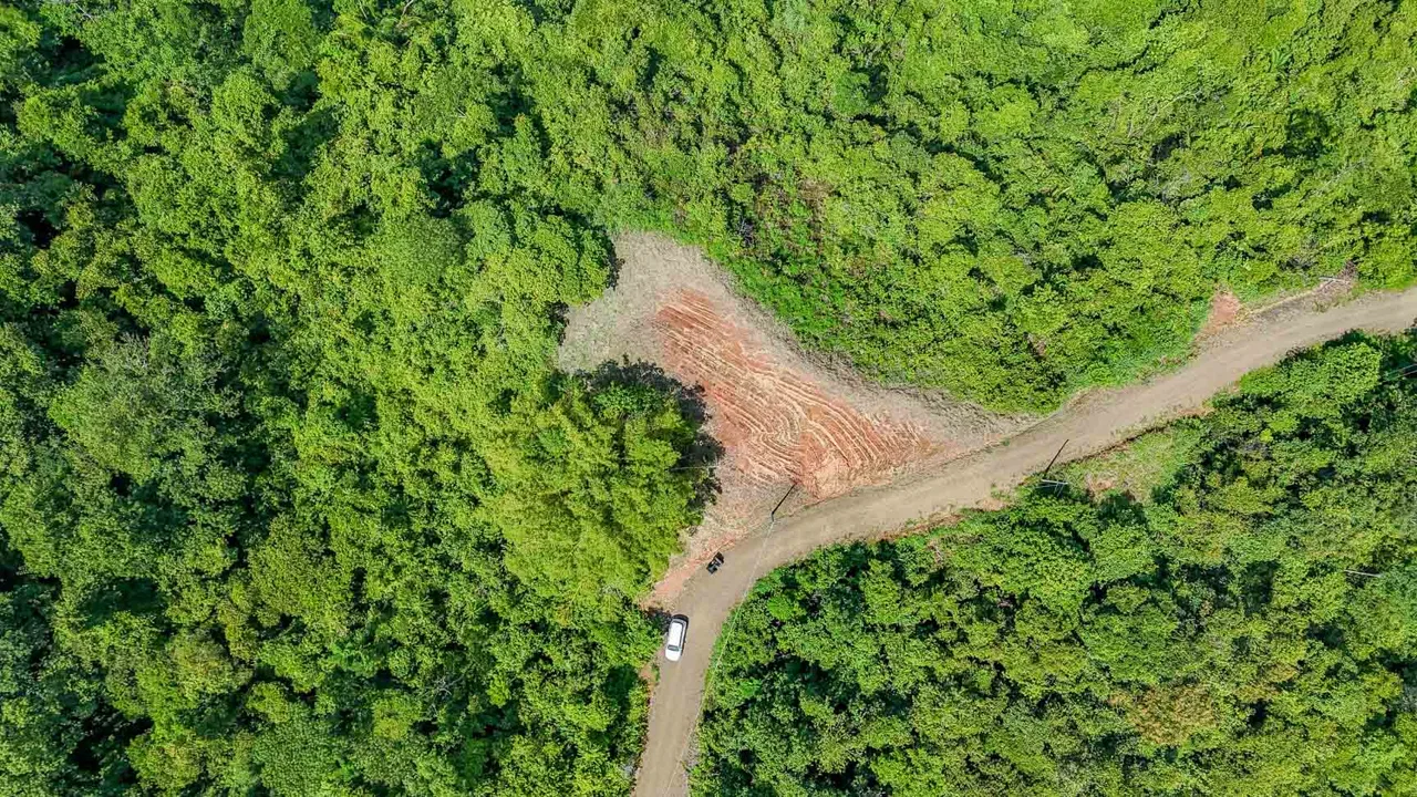 JUNGLE BUILDING PROPERTY WITH OCEAN VIEWS IN CHONTALES OJOCHAL – 9 ACRES, photo 15