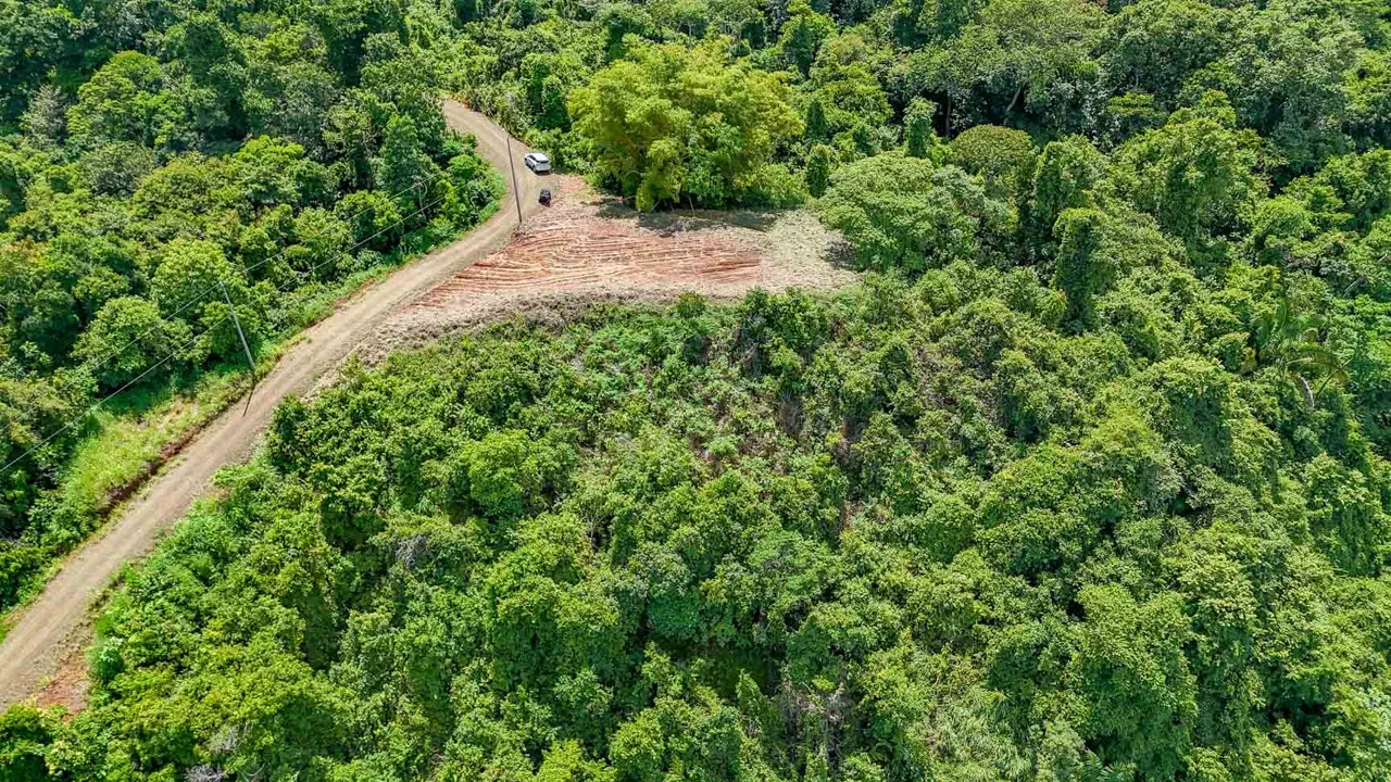 JUNGLE BUILDING PROPERTY WITH OCEAN VIEWS IN CHONTALES OJOCHAL – 9 ACRES, photo 17