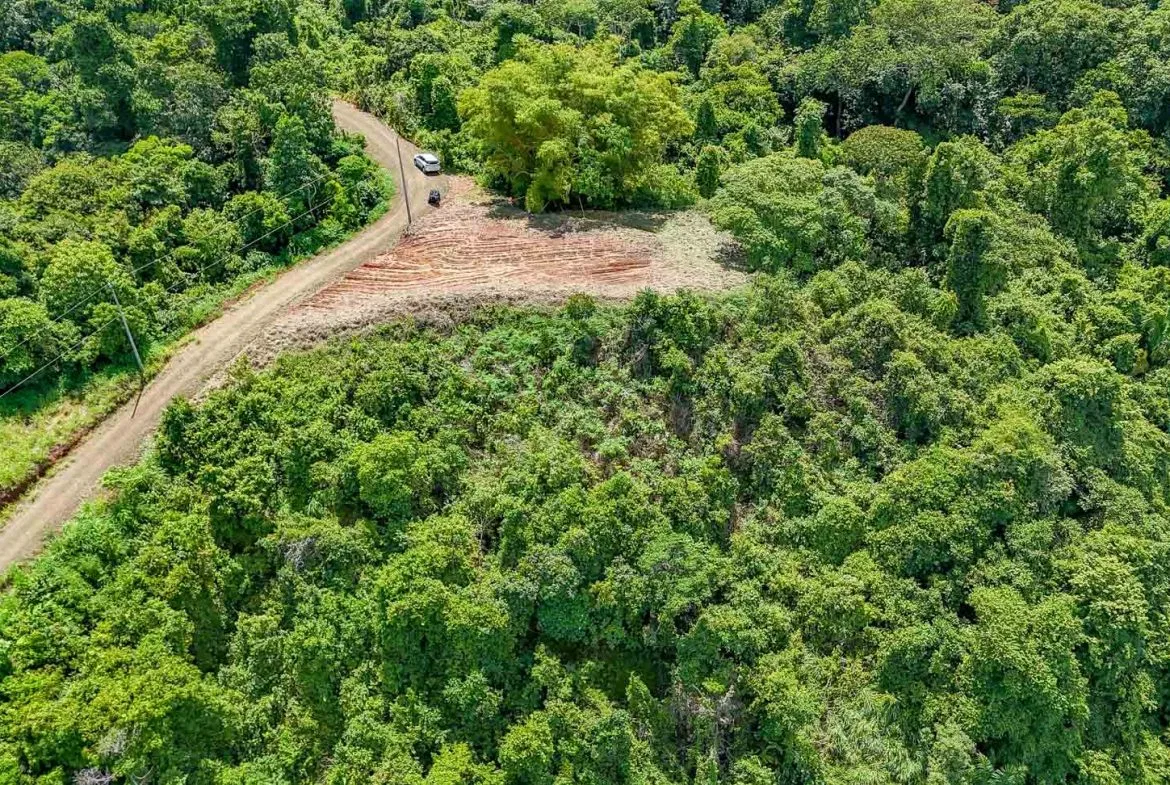 JUNGLE BUILDING PROPERTY WITH OCEAN VIEWS IN CHONTALES OJOCHAL – 9 ACRES, photo 18