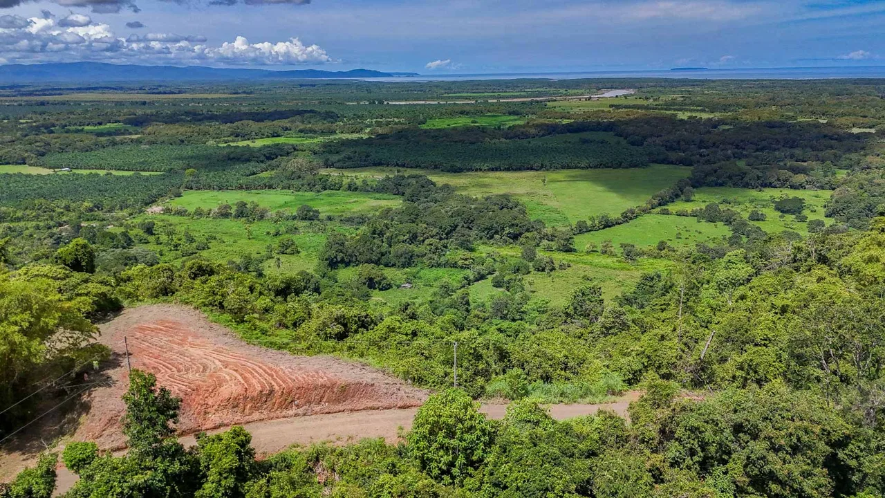 JUNGLE BUILDING PROPERTY WITH OCEAN VIEWS IN CHONTALES OJOCHAL – 9 ACRES, photo 19
