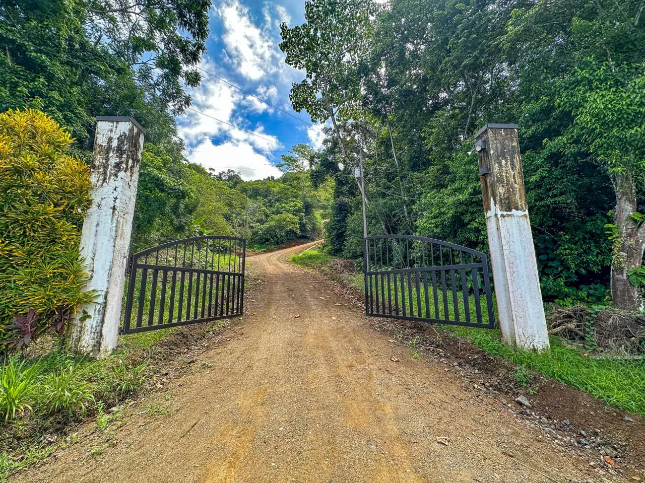 JUNGLE BUILDING PROPERTY WITH OCEAN VIEWS IN CHONTALES OJOCHAL – 9 ACRES, photo 3
