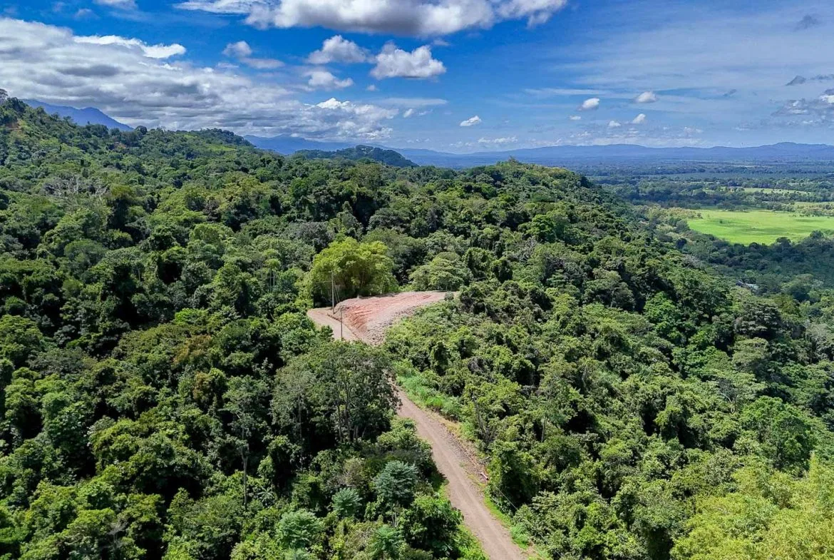 JUNGLE BUILDING PROPERTY WITH OCEAN VIEWS IN CHONTALES OJOCHAL – 9 ACRES, photo 22