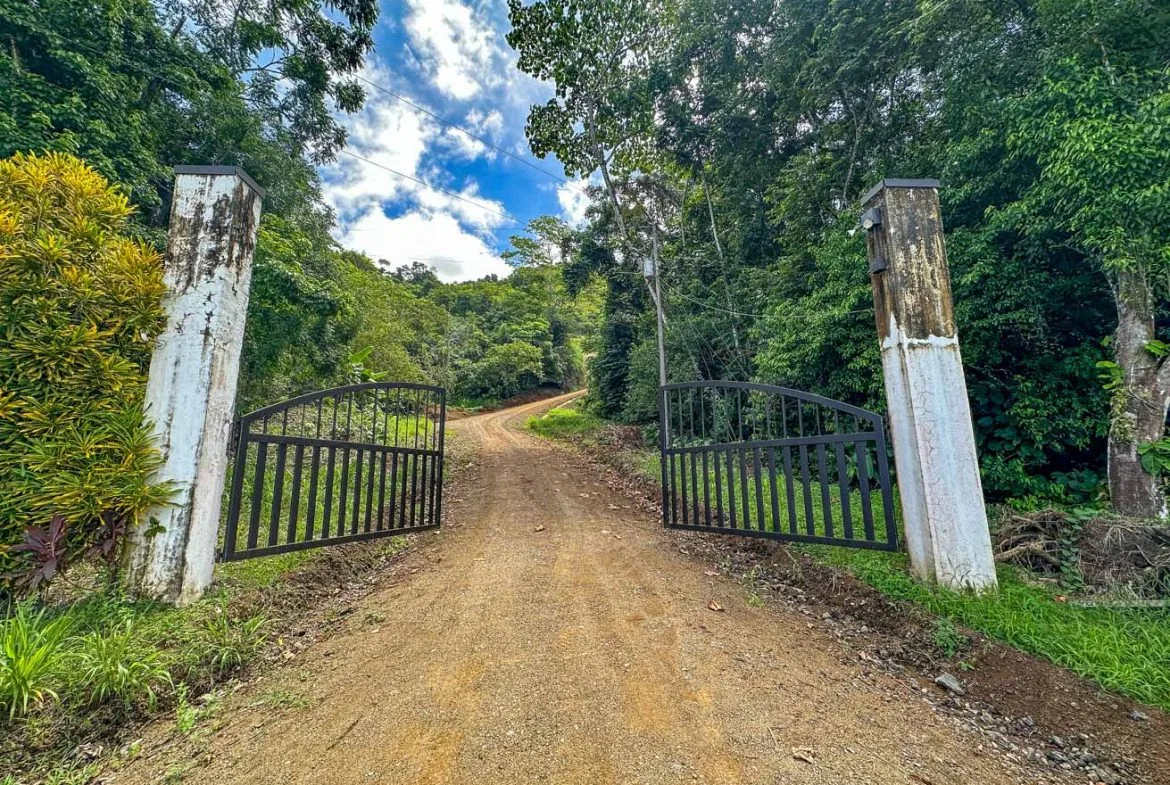 JUNGLE BUILDING PROPERTY WITH OCEAN VIEWS IN CHONTALES OJOCHAL – 9 ACRES, photo 4