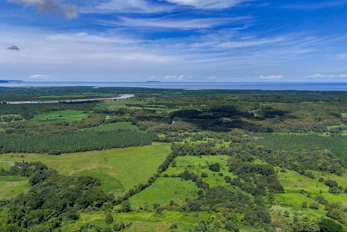 JUNGLE BUILDING PROPERTY WITH OCEAN VIEWS IN CHONTALES OJOCHAL – 9 ACRES, photo 8