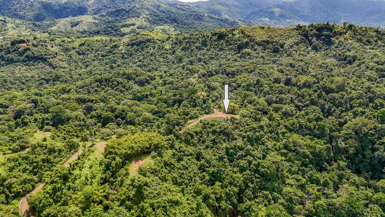 JUNGLE BUILDING PROPERTY WITH OCEAN VIEWS IN CHONTALES OJOCHAL – 9 ACRES, photo 9
