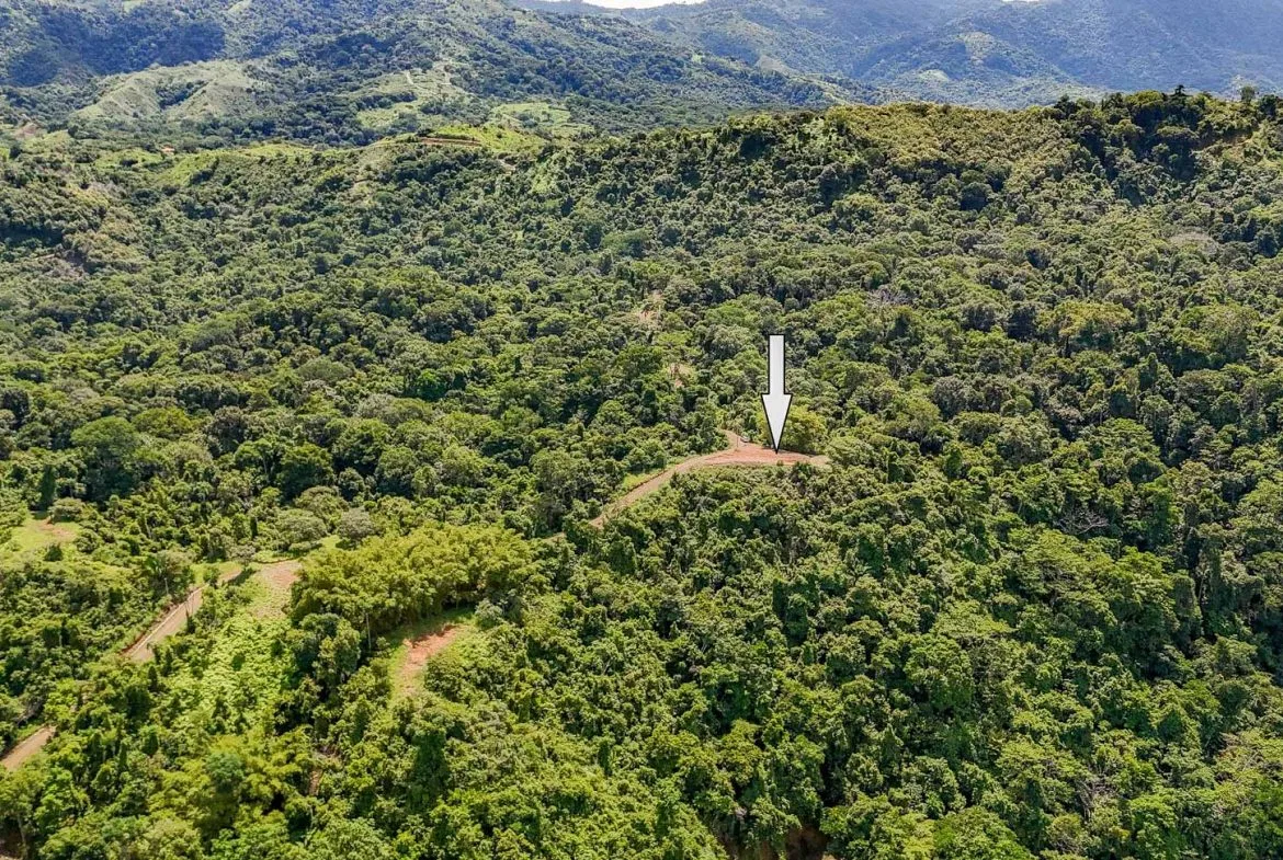 JUNGLE BUILDING PROPERTY WITH OCEAN VIEWS IN CHONTALES OJOCHAL – 9 ACRES, photo 10