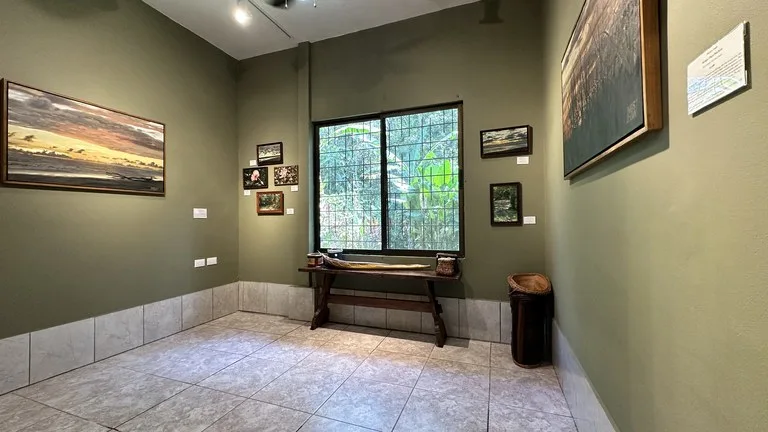Commercial Space In Prime High Traffic Area in Uvita Costa Rica with garden, photo 14