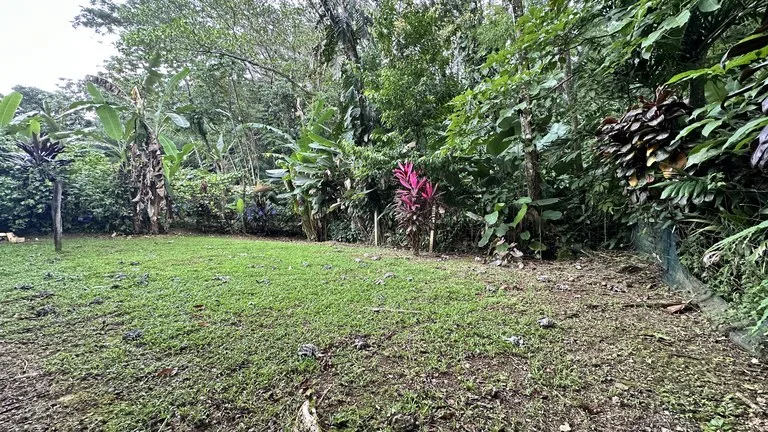 Commercial Space In Prime High Traffic Area in Uvita Costa Rica with garden, photo 6