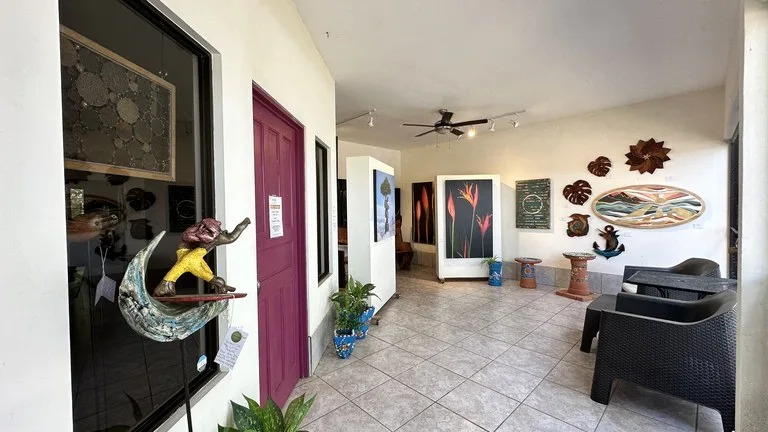 Commercial Space In Prime High Traffic Area in Uvita Costa Rica with garden, photo 10