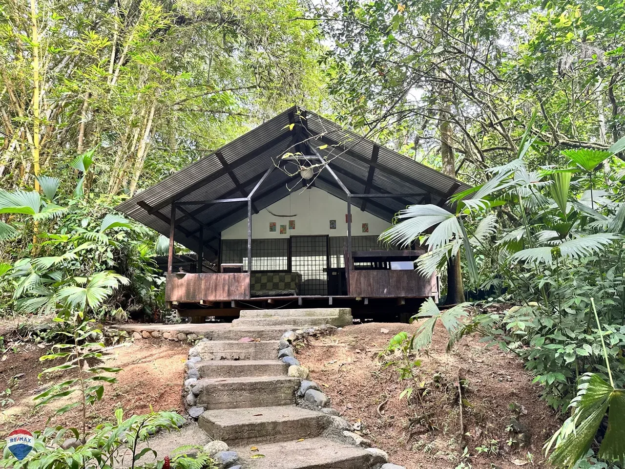 Los Mineros Lodge Costa Rica – Unique Rainforest Property for Sale - REMAX Jungle Properties | Pavones Golfito Real Estate