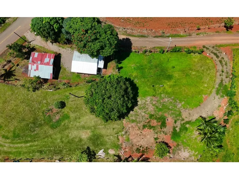 Lote en Venta – 1.252 m² | Entorno Natural y Potencial Vista al Mar