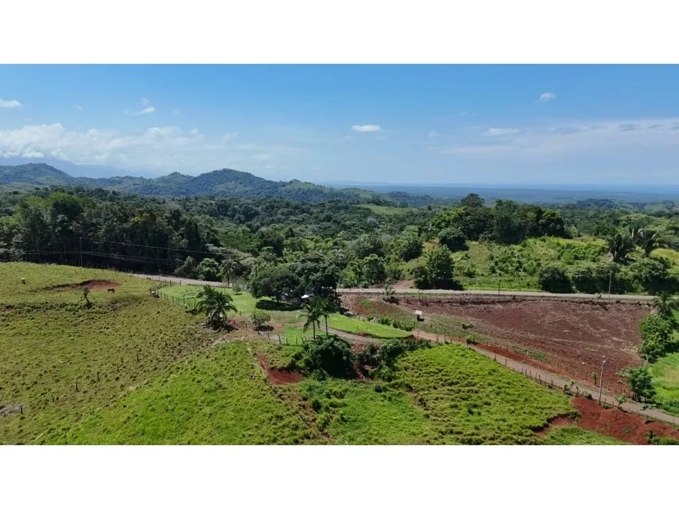 Lote en Venta – 1.252 m² | Entorno Natural y Potencial Vista al Mar, photo 2