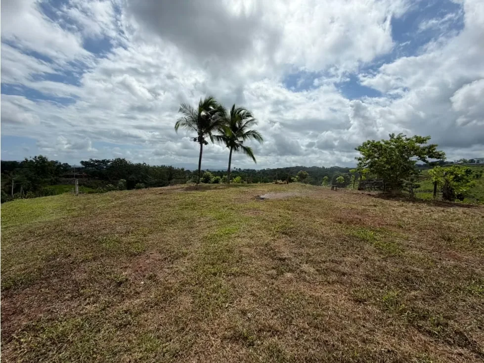 Lote en Venta – 1.252 m² | Entorno Natural y Potencial Vista al Mar, photo 11