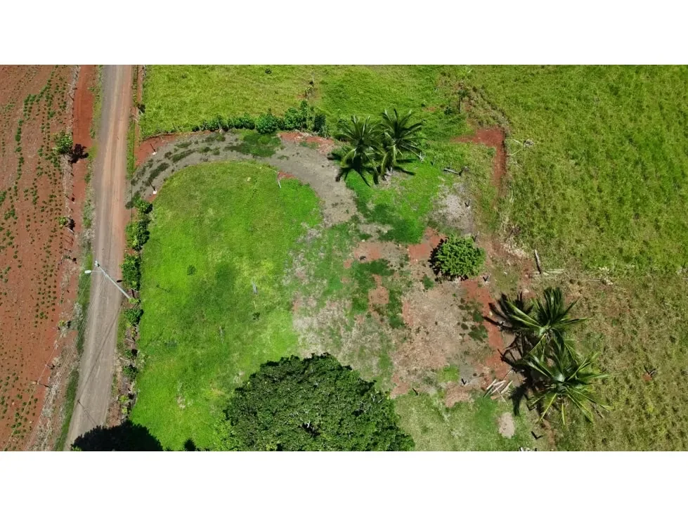 Lote en Venta – 1.252 m² | Entorno Natural y Potencial Vista al Mar, photo 12