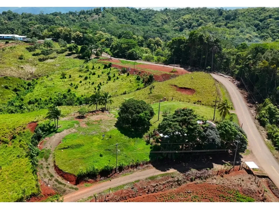 Lote en Venta – 1.252 m² | Entorno Natural y Potencial Vista al Mar, photo 13