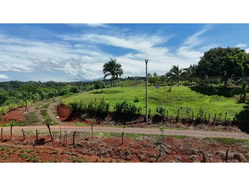Lote en Venta – 1.252 m² | Entorno Natural y Potencial Vista al Mar, photo 15