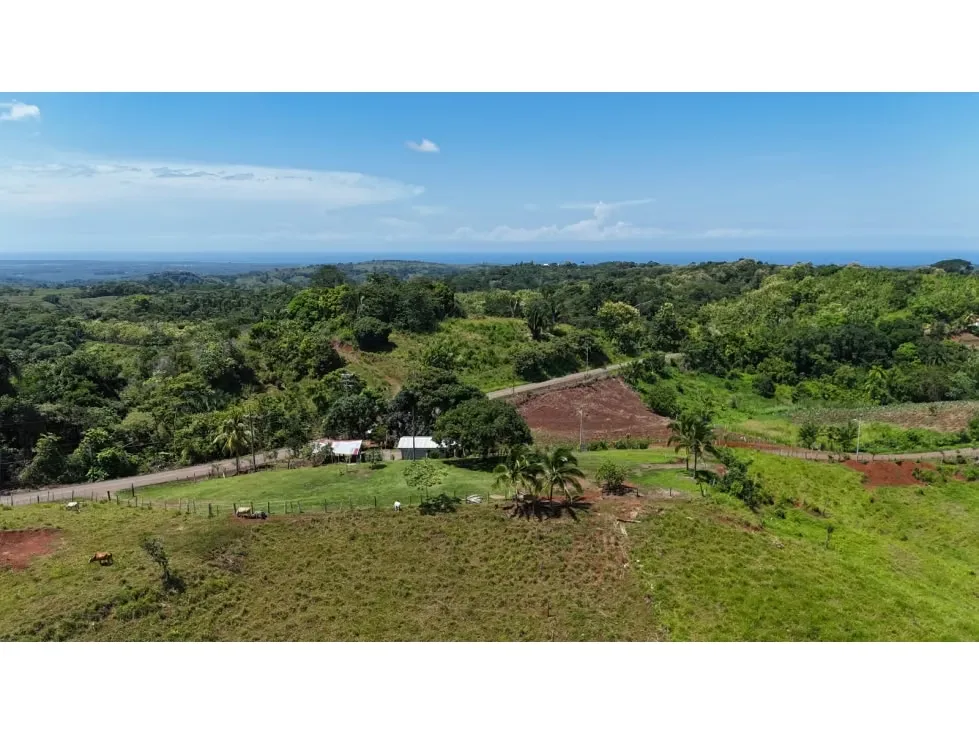 Lote en Venta – 1.252 m² | Entorno Natural y Potencial Vista al Mar, photo 16
