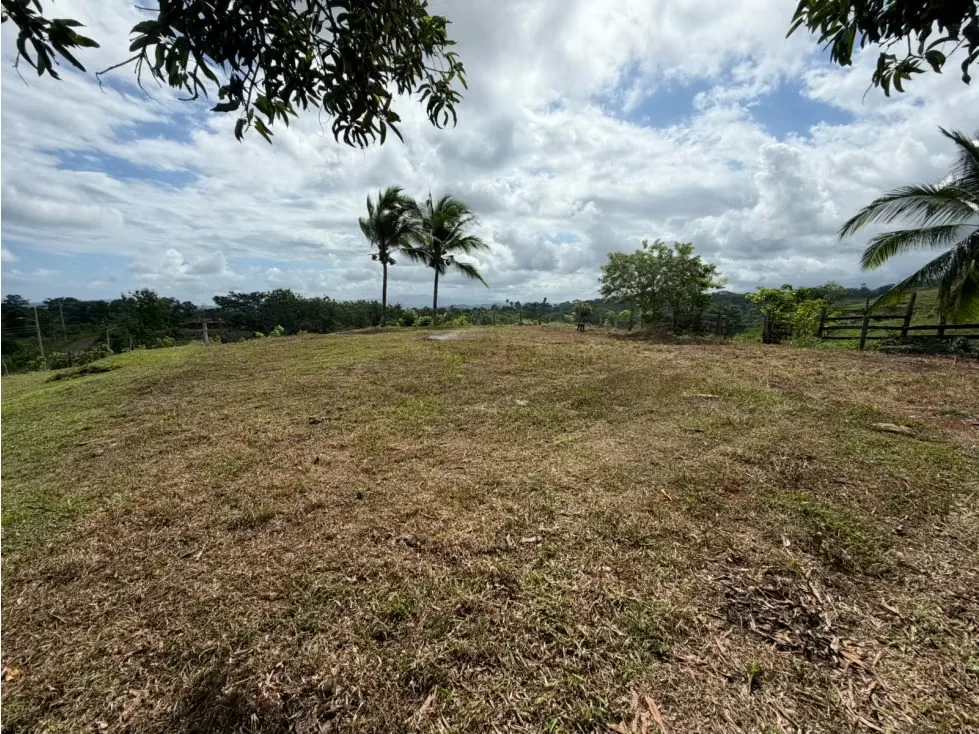 Lote en Venta – 1.252 m² | Entorno Natural y Potencial Vista al Mar, photo 3