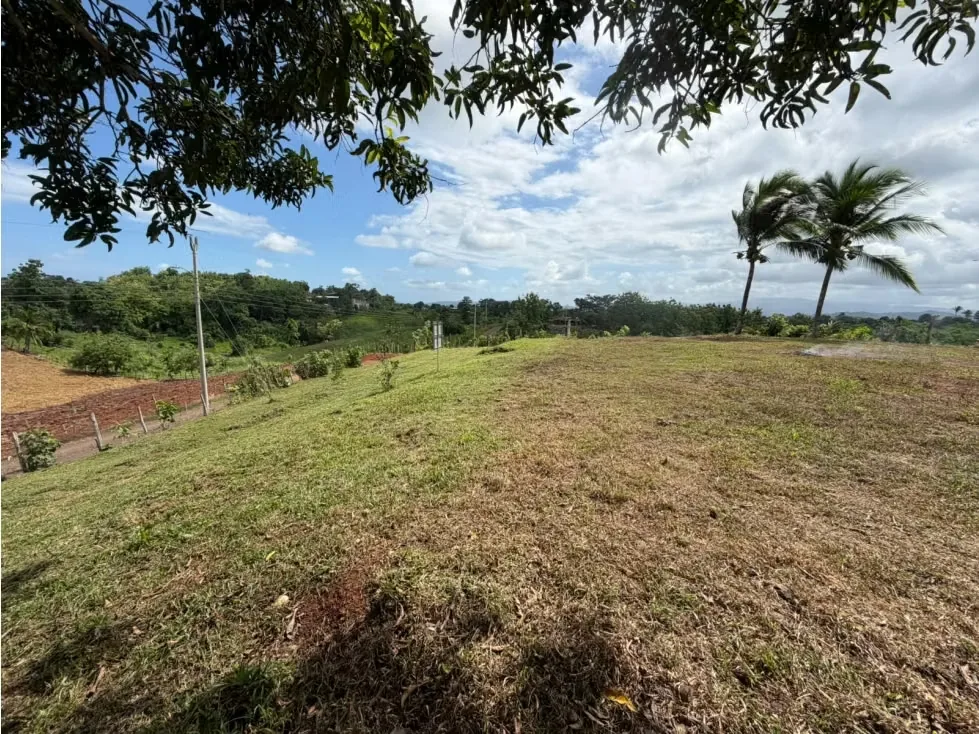 Lote en Venta – 1.252 m² | Entorno Natural y Potencial Vista al Mar, photo 4