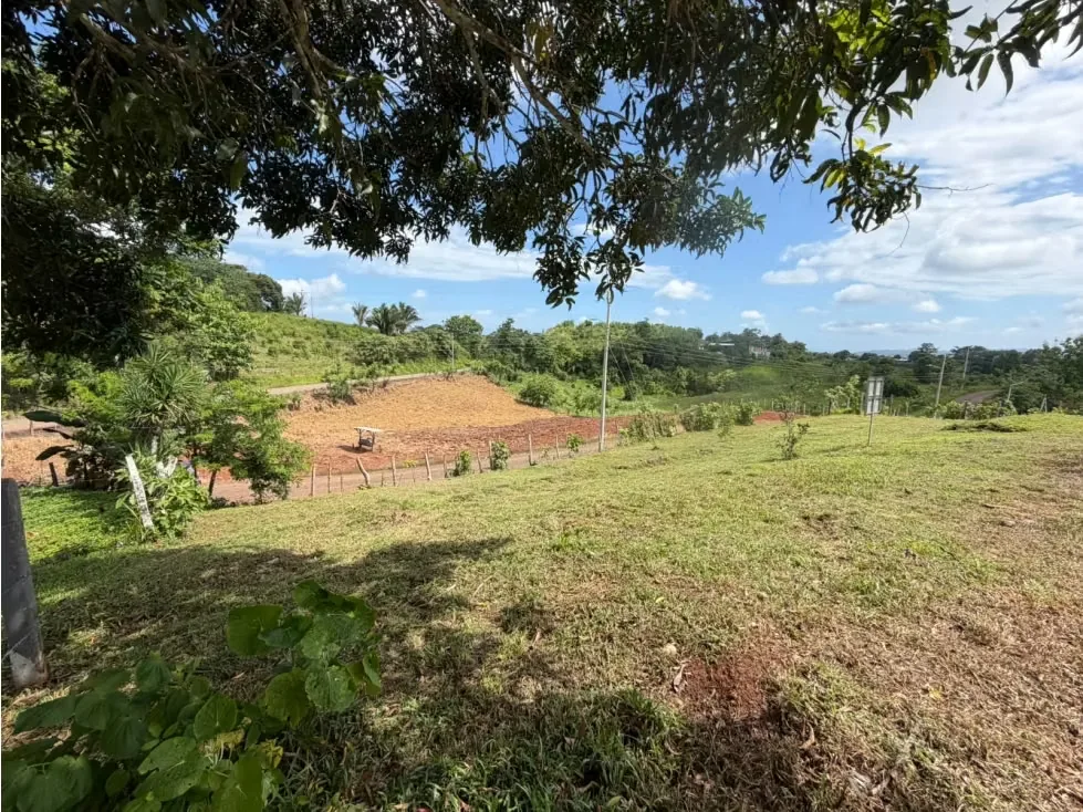 Lote en Venta – 1.252 m² | Entorno Natural y Potencial Vista al Mar, photo 5