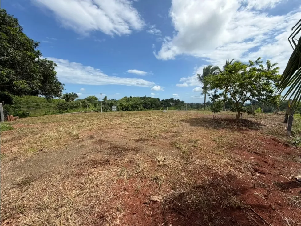 Lote en Venta – 1.252 m² | Entorno Natural y Potencial Vista al Mar, photo 6