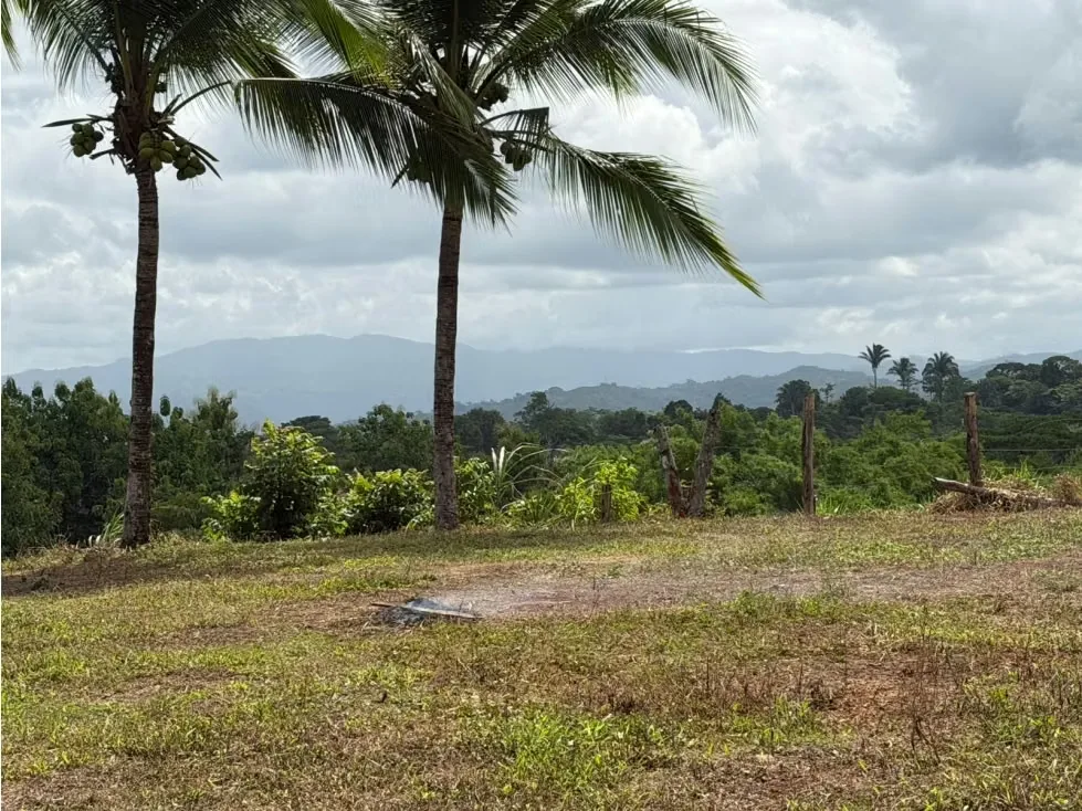 Lote en Venta – 1.252 m² | Entorno Natural y Potencial Vista al Mar, photo 8