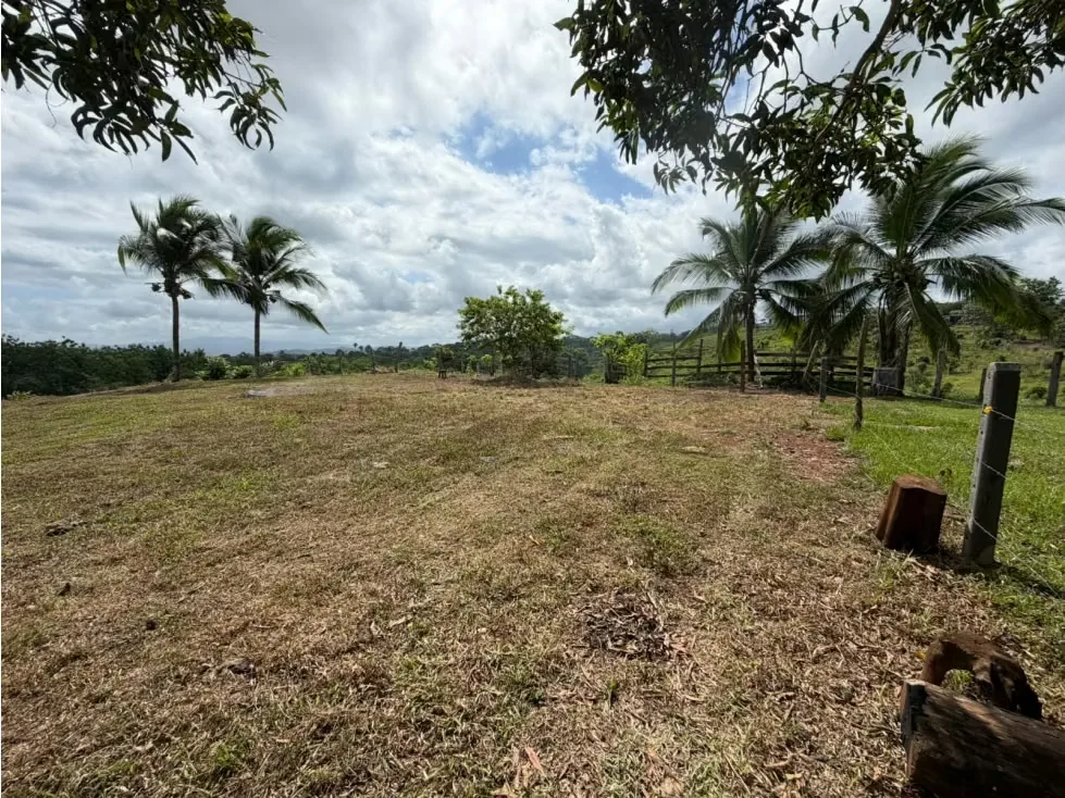 Lote en Venta – 1.252 m² | Entorno Natural y Potencial Vista al Mar, photo 9