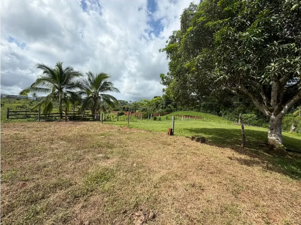 Lote en Venta – 1.252 m² | Entorno Natural y Potencial Vista al Mar, photo 10