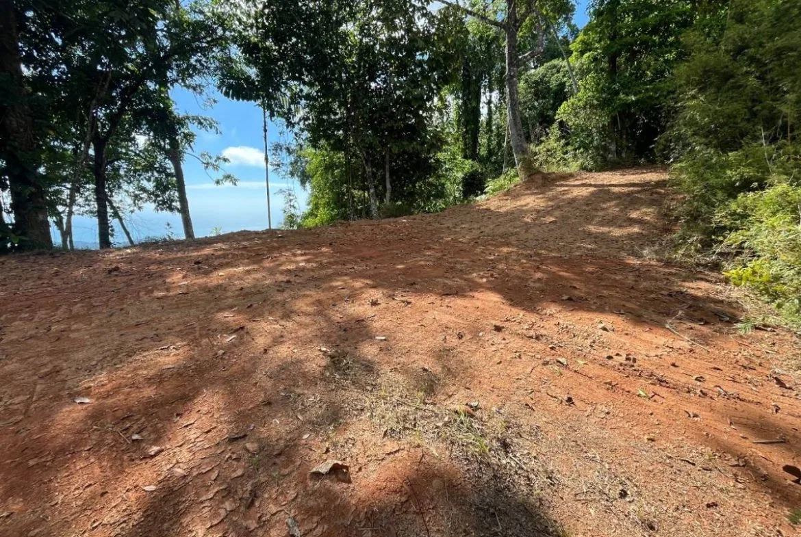 PROPERTY WITH SUNSET VIEW PUNTA MALA – 2.16 ACRES, photo 2