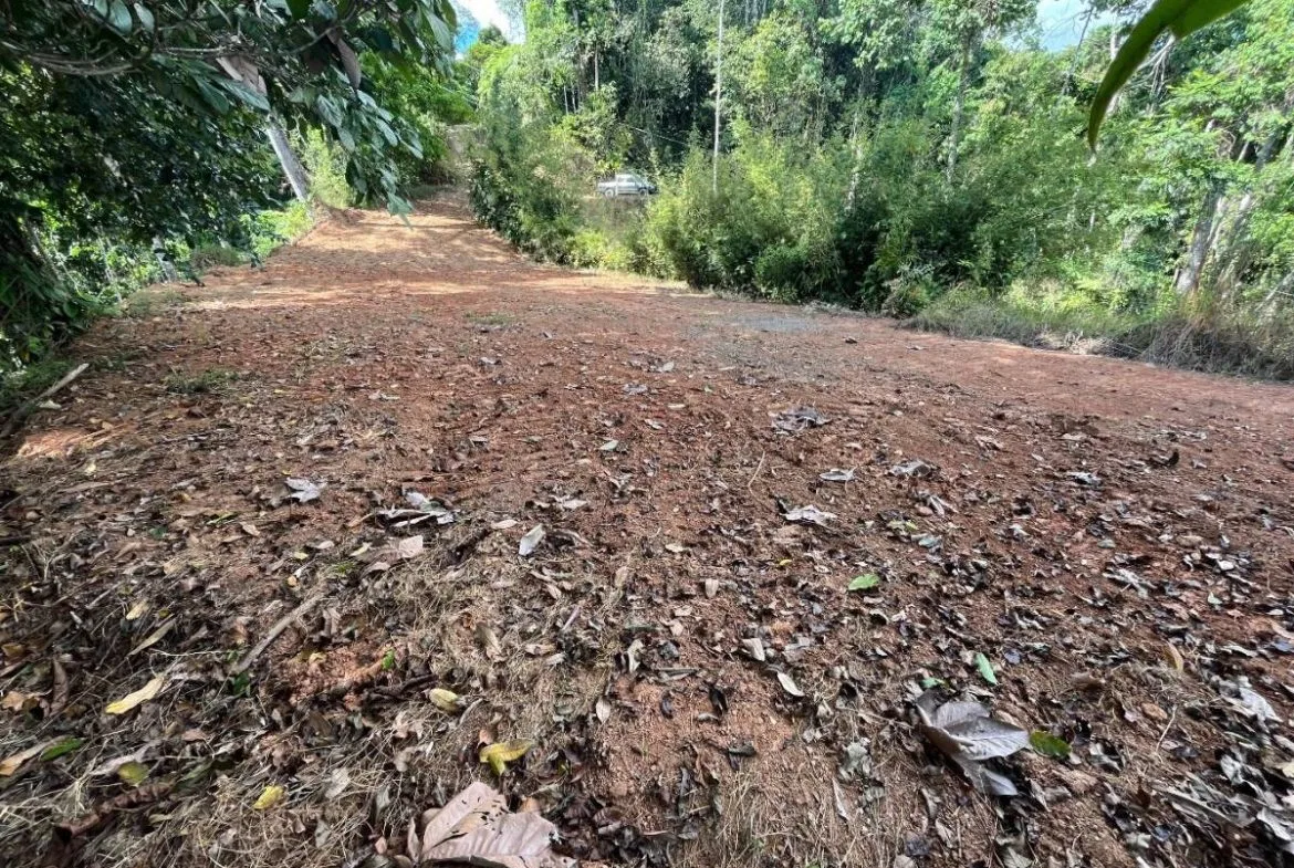 PROPERTY WITH SUNSET VIEW PUNTA MALA – 2.16 ACRES, photo 12