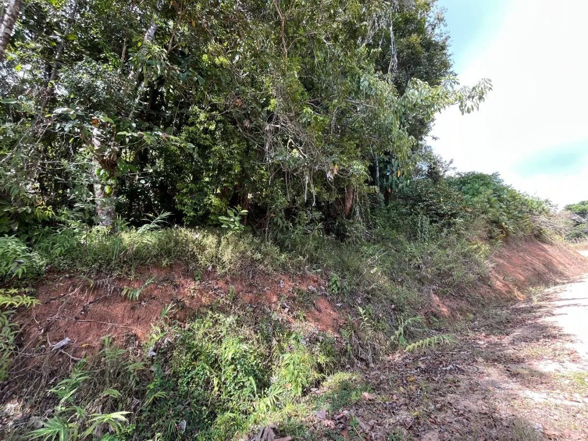 PROPERTY WITH SUNSET VIEW PUNTA MALA – 2.16 ACRES, photo 15