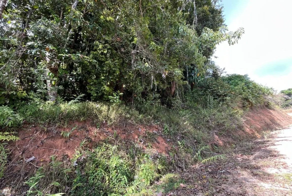 PROPERTY WITH SUNSET VIEW PUNTA MALA – 2.16 ACRES, photo 16