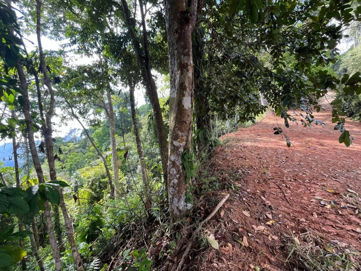 PROPERTY WITH SUNSET VIEW PUNTA MALA – 2.16 ACRES, photo 17