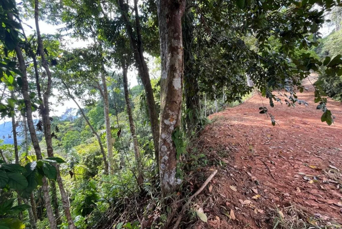 PROPERTY WITH SUNSET VIEW PUNTA MALA – 2.16 ACRES, photo 18