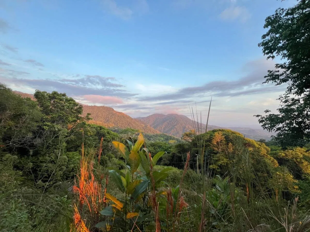 PROPERTY WITH SUNSET VIEW PUNTA MALA – 2.16 ACRES, photo 21