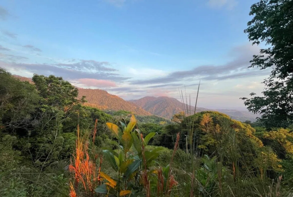 PROPERTY WITH SUNSET VIEW PUNTA MALA – 2.16 ACRES, photo 22