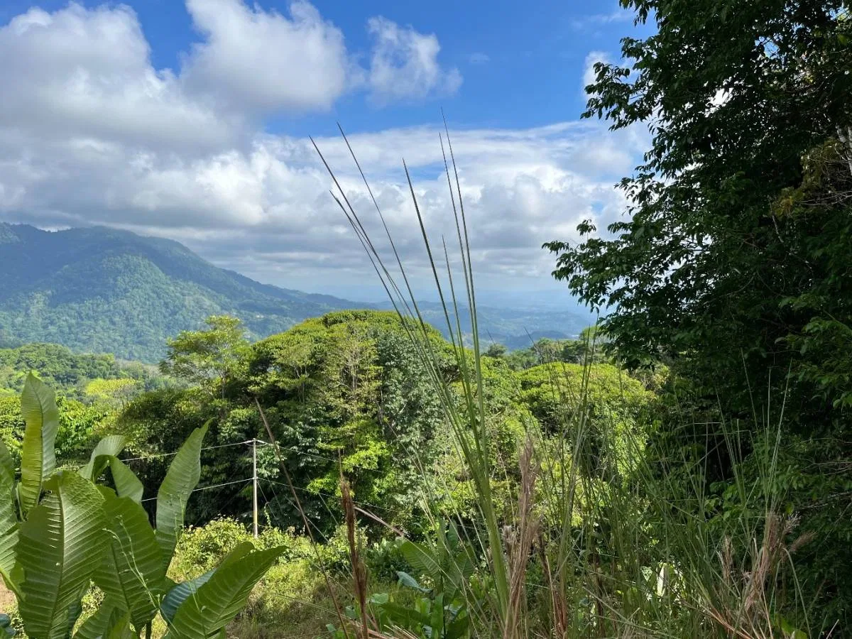 PROPERTY WITH SUNSET VIEW PUNTA MALA – 2.16 ACRES, photo 23