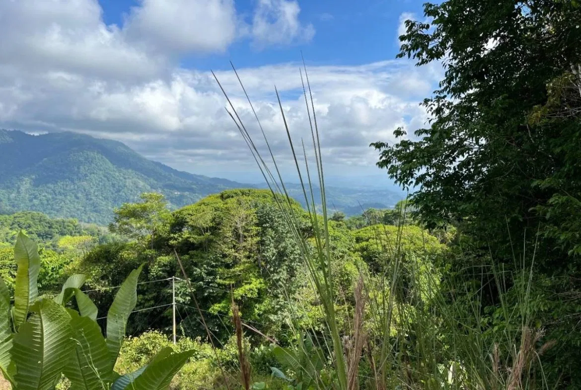 PROPERTY WITH SUNSET VIEW PUNTA MALA – 2.16 ACRES, photo 24