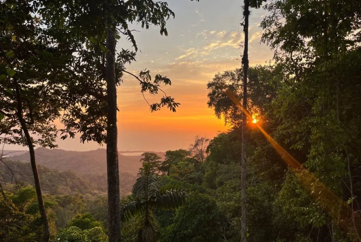 PROPERTY WITH SUNSET VIEW PUNTA MALA – 2.16 ACRES, photo 4