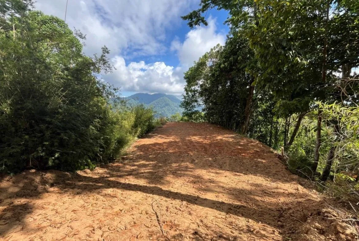 PROPERTY WITH SUNSET VIEW PUNTA MALA – 2.16 ACRES, photo 6