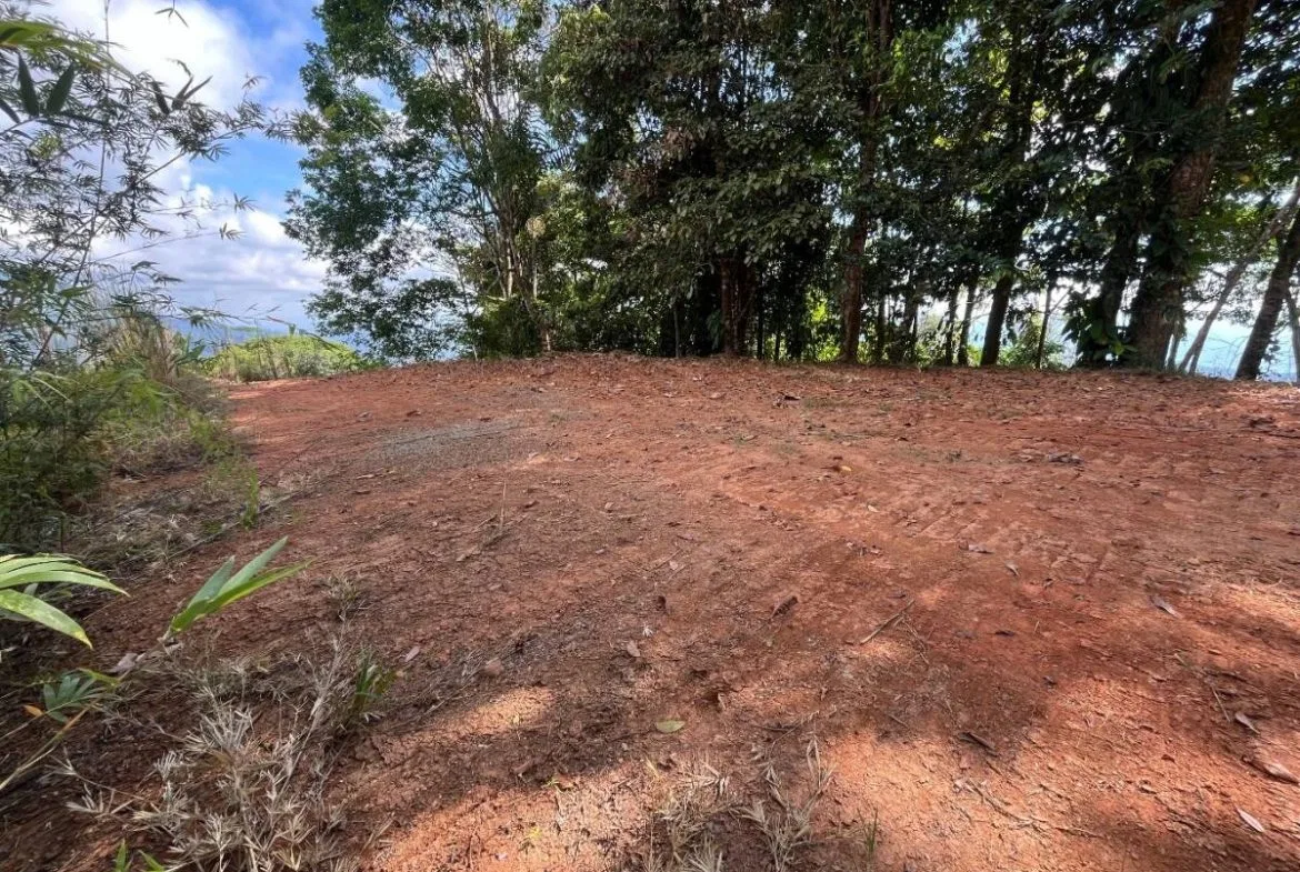 PROPERTY WITH SUNSET VIEW PUNTA MALA – 2.16 ACRES, photo 8